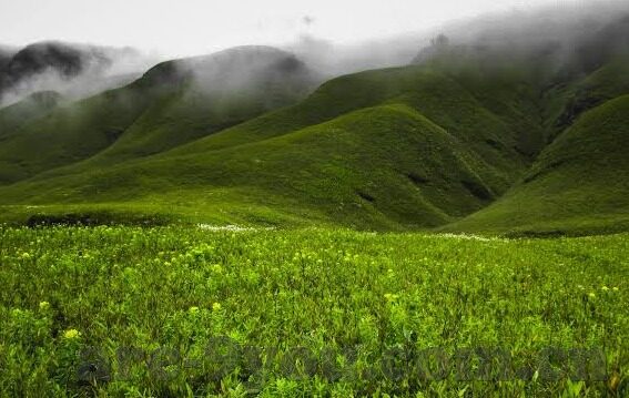 九游朕的江山下载-九游朕的江山，重塑历史与文化的掌上盛宴