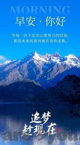 开云体育平台知乎-开云体育平台，一场体育资讯的数字革命